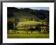 Yorkshire Dales Spring by Jody Miller Limited Edition Print