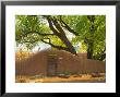 Contoured Adobe Wall, Santa Fe, New Mexico by Tom Haseltine Limited Edition Print
