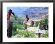 Weathered Boots On Fence Posts, Imnaha River Canyon, Oregon, Usa by William Sutton Limited Edition Print