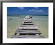 Wooden Pier With Broken Planks, Ambergris Caye, Belize by Doug Mckinlay Limited Edition Print