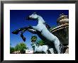 Bronze Horse Fountain In Scottsdale, Phoenix, Arizona by David Tomlinson Limited Edition Print
