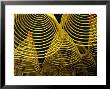 Spirals Of Joss At A-Ma Temple by Krzysztof Dydynski Limited Edition Print