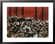Large Stack Of Fire Wood Piled Next To A Red Barn Wall by Todd Gipstein Limited Edition Pricing Art Print