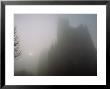 View In The Morning Mist Of Notre-Dame In Amiens, France by James L. Stanfield Limited Edition Print