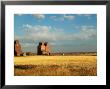 Grain Elevators Stand In A Prairie Ghost Town, Rowley, Alberta, Canada by Pete Ryan Limited Edition Print
