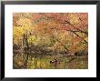 Woman Kayaking Down The Chesapeake And Ohio Canal National Park by Skip Brown Limited Edition Print