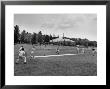 Batter Up, Ball In Play During A Game Of Cricket by Peter Stackpole Limited Edition Print