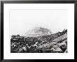 Us Marines Advance Up Black Sand Beaches Of Iwo Jima To Engage Japanese Troops by Louis R. Lowery Limited Edition Print