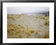 Dunes Along The Coast Of Oregon by Eliot Elisofon Limited Edition Print