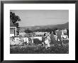 Housewife In Tygart Valley Removing Laundry From Clothesline, Her Young Daughter Stands Beside Her by Carl Mydans Limited Edition Print