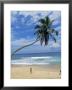 Palm Tree And Coconut Seller, Hikkaduwa Beach, Sri Lanka by Yadid Levy Limited Edition Print