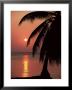 Sunset Seen From The Resort Of West End On Roatan, Largest Of The Bay Islands, Honduras, Caribbean by Robert Francis Limited Edition Print