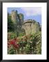 Warwick Castle, Warwick, Warwickshire, England, Uk, Europe by G Richardson Limited Edition Pricing Art Print