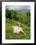 Woman Tea Picking, Goomtee Tea Estate, Kurseong, West Bengal, India by Jane Sweeney Limited Edition Print