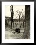 Young Couple Sitting On A Bench In Piazza Donatello In Florence by Vincenzo Balocchi Limited Edition Print