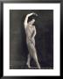 Young Ballet Dancer Portrayed While Dancing by Wanda Wulz Limited Edition Print