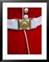 Scots Guards Uniform Detail, United Kingdom by Chris Mellor Limited Edition Pricing Art Print