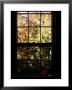 Autumn View Out Of A Wooden Pane Window, Washington, D.C. by Stacy Gold Limited Edition Print