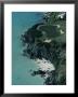 Aerial Of A Golf Course In Bermuda by Kenneth Garrett Limited Edition Print