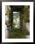 Moss Covered Battlement Hole In Ancient British Fort In Nicaragua by David Evans Limited Edition Print