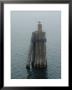 Seagull Perched On Wooden Pilings, Block Island, Rhode Island by Todd Gipstein Limited Edition Print