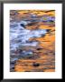 Scenic Of Moving Water Reflecting Sunlit Canyon Walls, Colorado by Kate Thompson Limited Edition Print
