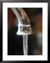 Water Flows Out Of A Stainless Steel Faucet, Chevy Chase, Maryland by Stacy Gold Limited Edition Print