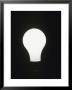 Light Bulb Glows In A Dark Room by Taylor S. Kennedy Limited Edition Print