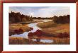 Winding River by Judith D'agostino Limited Edition Print