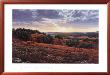 Smithson Valley Sunset by Greg Glowka Limited Edition Print