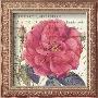 Carte Postale Rose I by Paula Scaletta Limited Edition Pricing Art Print