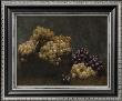 Panier Et Raisins by Henri Fantin-Latour Limited Edition Pricing Art Print