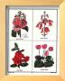 Botanicals (Pink & Red) by B. Maund Limited Edition Print