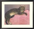Cat On A Cushion by Thã©Ophile Alexandre Steinlen Limited Edition Print