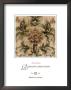 Romantic Profusion Iii by Elizabeth Jardine Limited Edition Print