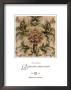 Romantic Profusion Iii by Elizabeth Jardine Limited Edition Print