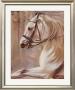 White Horse In Stall by Rumi Limited Edition Print