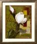 Beautiful Magnolia Ii by Sara Kaye Limited Edition Pricing Art Print