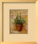 Rosemary by Carol Elizabeth Limited Edition Print