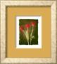 Sonata I - Mini by Amy Melious Limited Edition Print