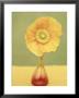 Summer Flower, Papaver Nudicaule In Orange Vase Yellow/Green Background by Linda Burgess Limited Edition Print