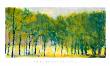 Soft Green Grove by Ken Elliott Limited Edition Pricing Art Print