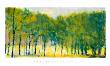 Soft Green Grove by Ken Elliott Limited Edition Print