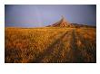 Scenic View Of Western Nebraska Landscape Along The Oregon Trail by Michael S. Lewis Limited Edition Print