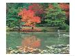 Japanese Tea Garden, Wa by Jim Corwin Limited Edition Pricing Art Print