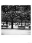 Park With Benches, Notre Dame, Paris, France by Eric Kamp Limited Edition Print