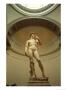 Michelangelo's David, Rome, Italy by Michelangelo Buonarroti Limited Edition Print