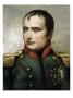 Portrait Of Napoleon I (1769-1821) by Horace Vernet Limited Edition Print