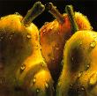 Pears by Alma'ch Limited Edition Print