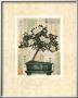 Azalea Bonsai by Richard Henson Limited Edition Pricing Art Print